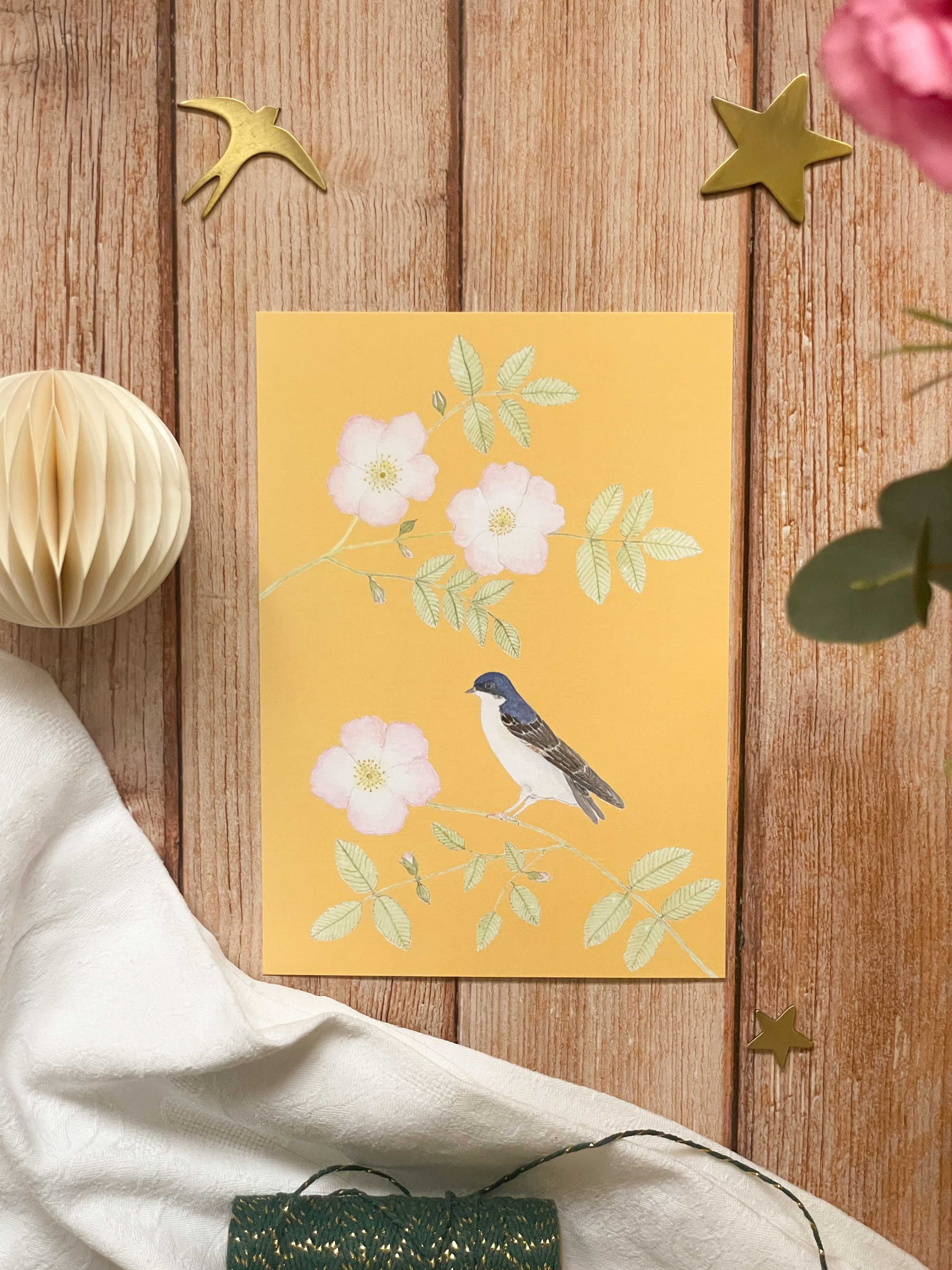 Affichette A5 hirondelle de fenêtre et églantier sur fond jaune