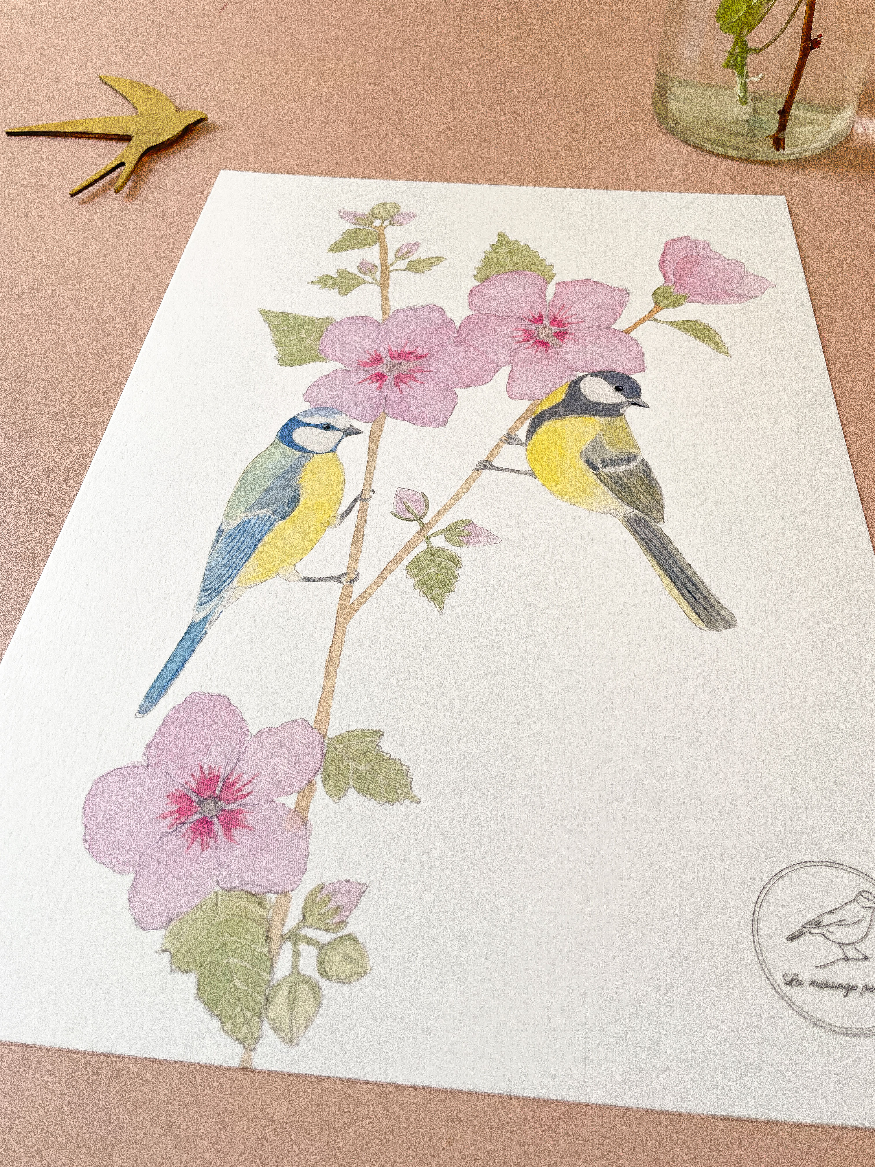 Affiche A4 mésange bleue et mésange charbonnière sur un hibiscus