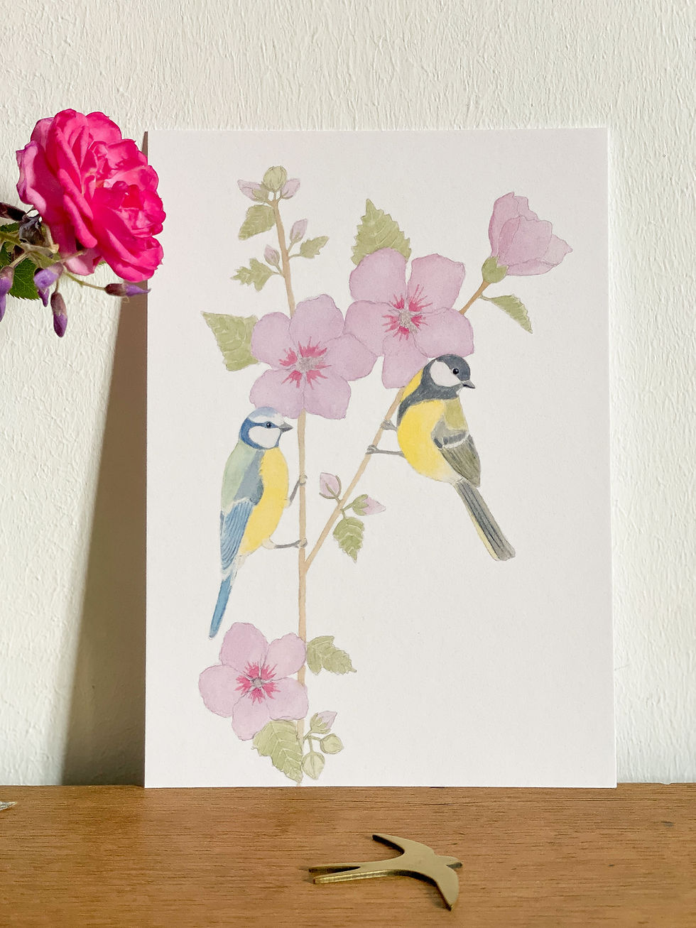 Miniature : R/Affiche A5 mésange bleue et mésange charbonnière sur un hibiscus