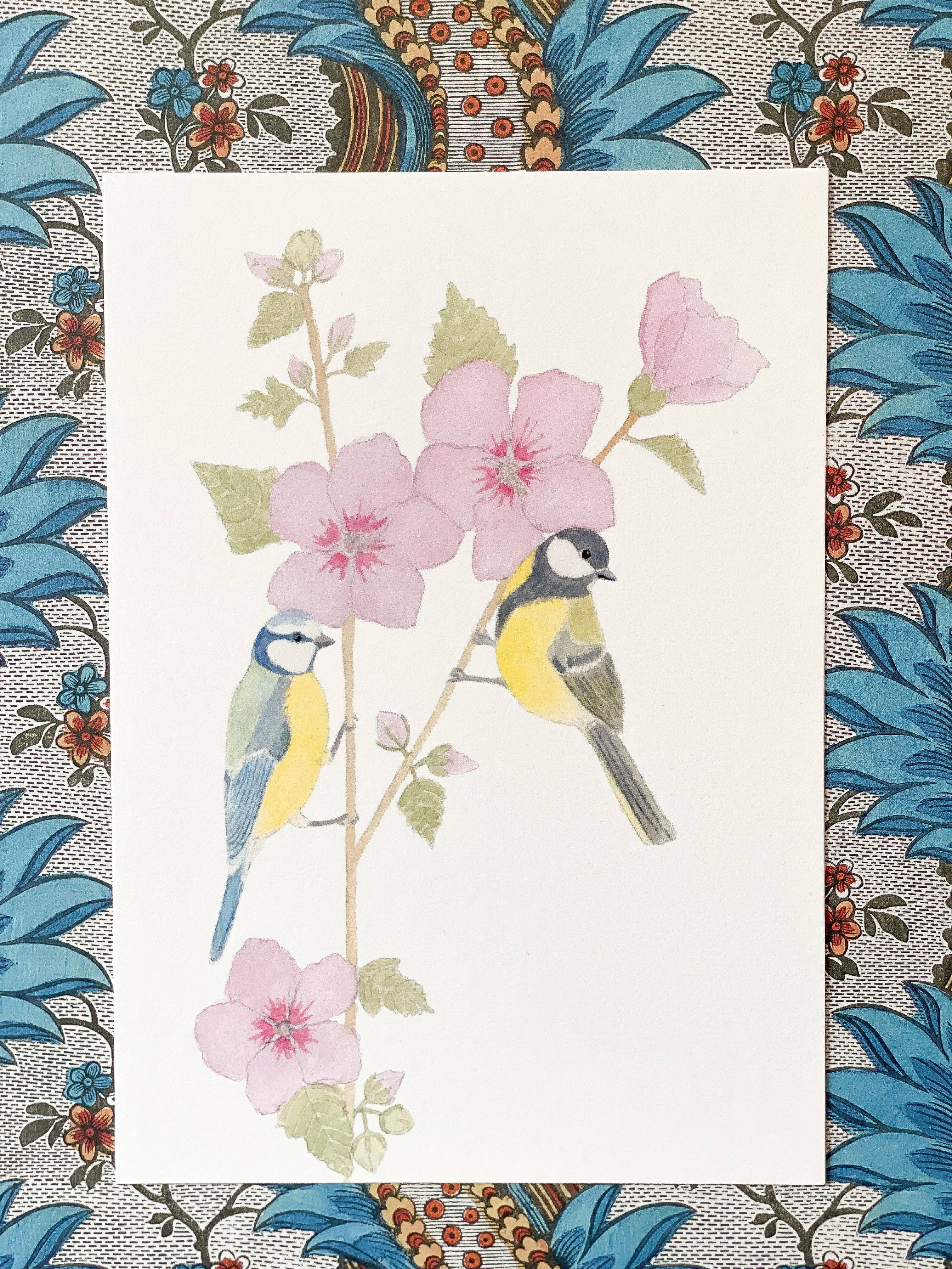 Affiche A5 mésange bleue et mésange charbonnière sur un hibiscus
