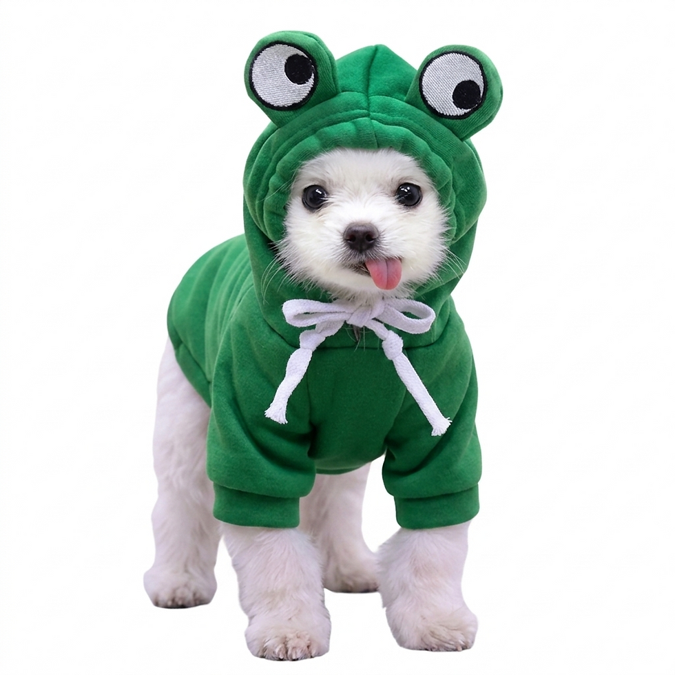 Classic polyester pet hoodie for French Bulldogs and small dogs in various colours showing comfortable fit