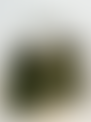 February 2024 Style Obsessions