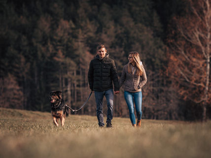 junges verliebtes Pärchen mit Schäferhund bei einem Outdoorshooting in Puchberg auf der Wiese