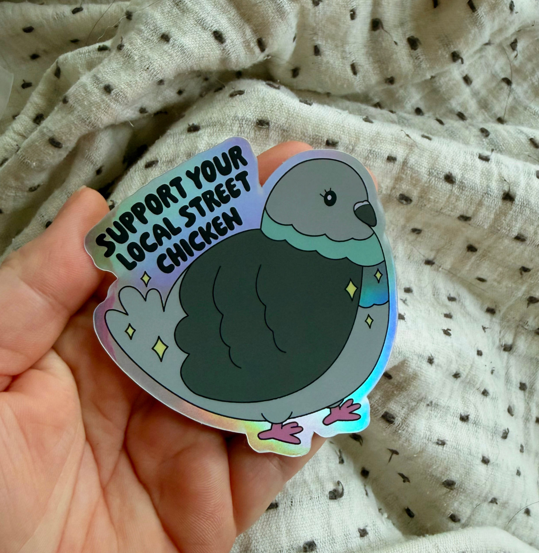 Street Pigeon