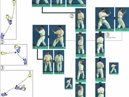 Full Edition Sho Kan Karate Stances [pdf] Ebook Utorrent Rar