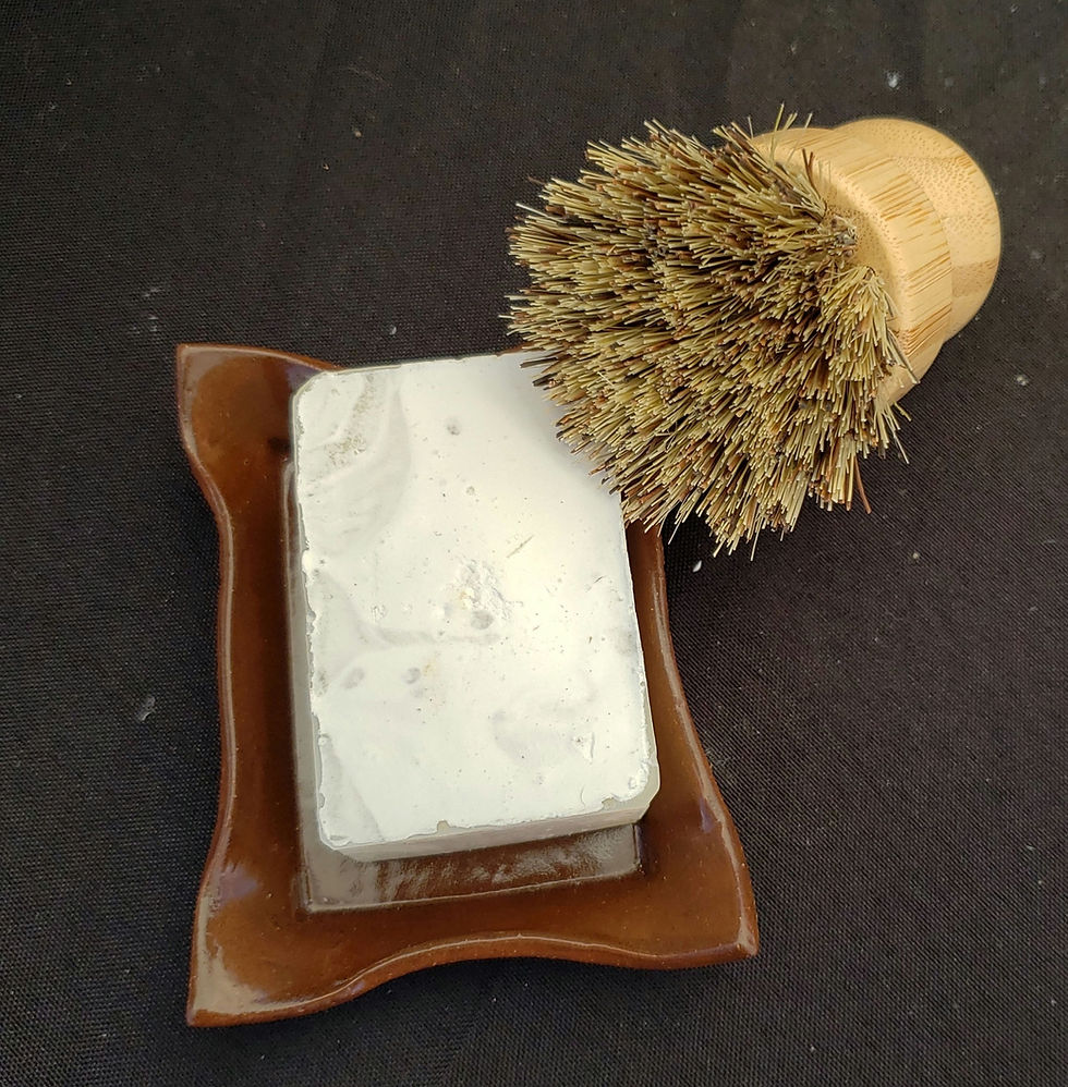 Thumbnail: Denali Dish Brushes