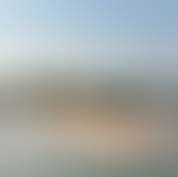 Ilha do Amor - Alter do Chão