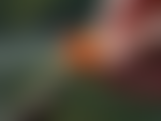 Create Unique Custom Fly Tying Patterns