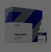 Flyby Forte_edited_edited.jpg