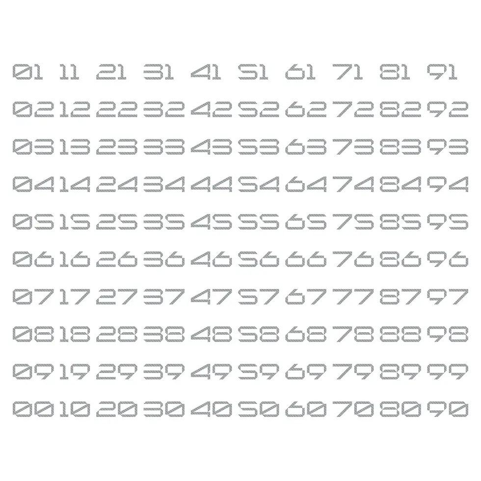 縮圖：HALODISC 2 Wheel Covers for Tesla | Custom Numbers