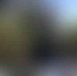 Construyendo  el centro