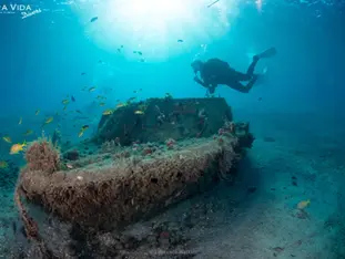 Scuba Diver on a ship wreck 