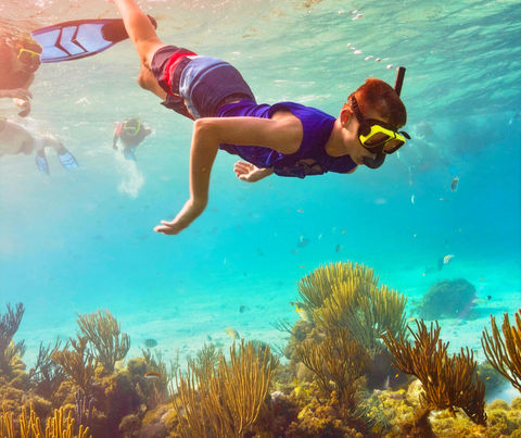 Reef  Snorkel Akumal