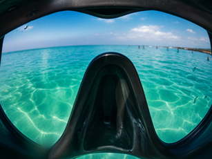 looking through a scuba mask