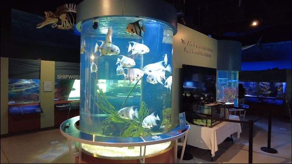 Cox Science Center and Aquarium