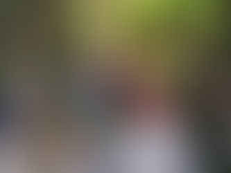 Grupo de personas escuchando a un guía en un entorno selvático. Fondo con cabaña de techo de paja y vegetación, con luces y sombras.