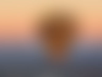 Hot air ballon ride over phoenix