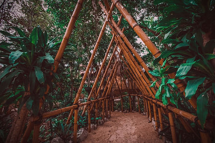 Bamboo arch walkway in a lush tropical forest, framed by dense green leaves and a sandy path.
