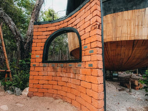 Bricks made of seaweed