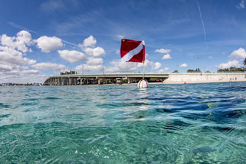 zach_nolan_dive_flag_on_surface_at_bhb.jpg