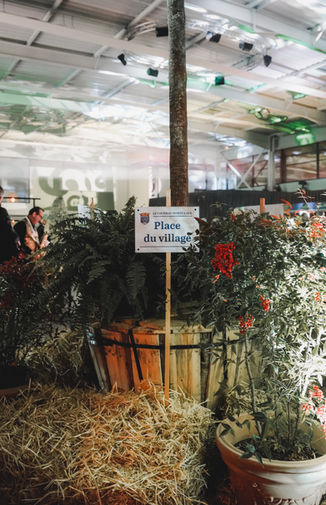 COUDRAY MONTCEAUX JANVIER 2023-84.jpg