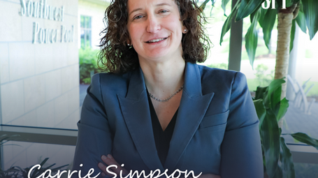 Giraffes, basketballs, and energy markets