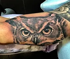 Owl