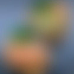 Broccoli and Stilton boxes