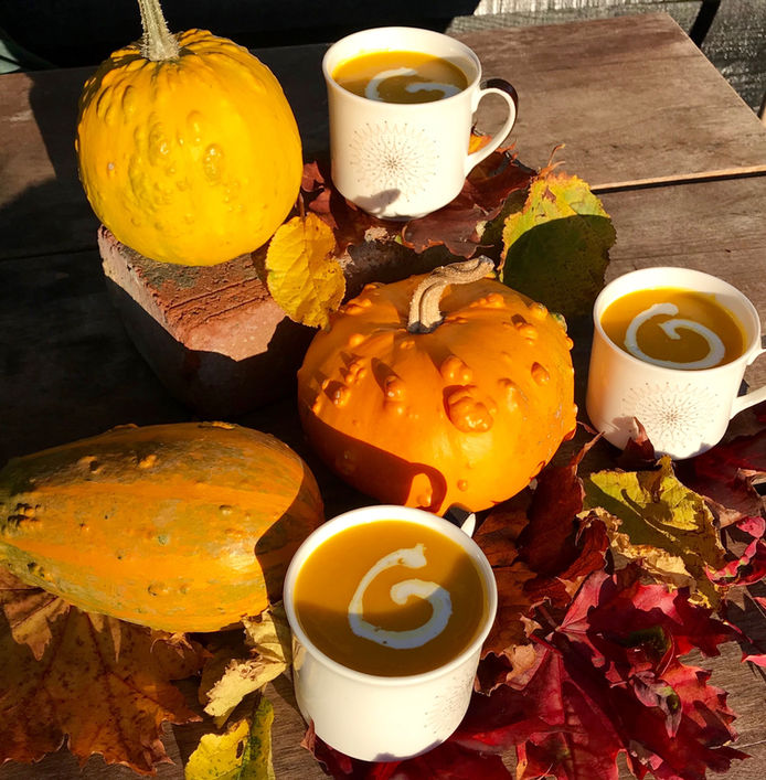Spicy Pumpkin Soup
