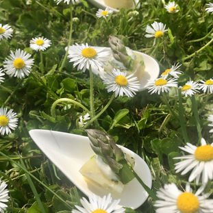 Jersey Squares with Herb Mayo