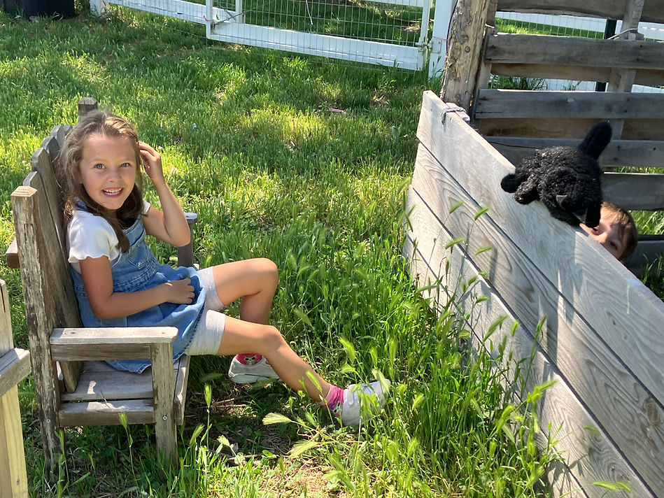 IMG_0787 (4) - Copy.jpg