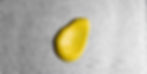 Honey Mustard
