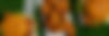 BANNER WEB HOME .jpg