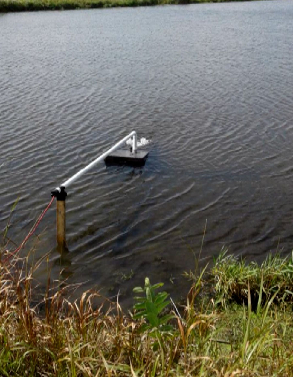 Sonic Plus Water Treatment System Restoring Water Quality in a Lake