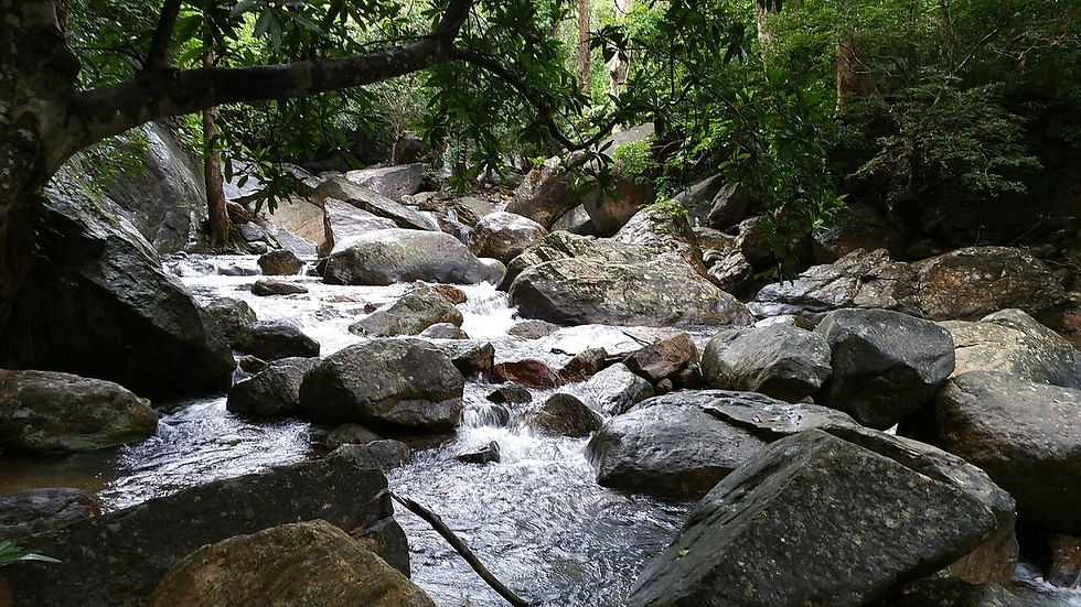 Vazhvanthol Waterfalls (1)