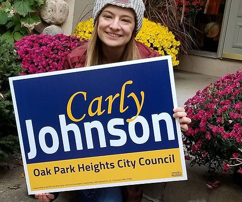 Lawn sign.JPG