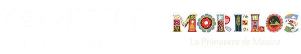logo morelos.png