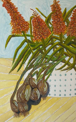 Kniphofia and Spring Onions