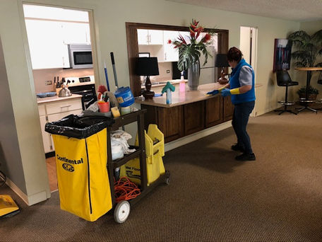 Janitorial Cleaning and Dusting