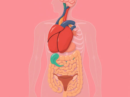 Polyendocrine Metabolic Ovarian Syndrome (PMOS): the new PCOS