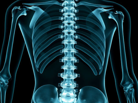 a skeleton representing bone health and osteoporosis prevention