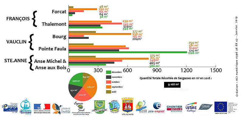 graphique sargasse communes du sud2019ja