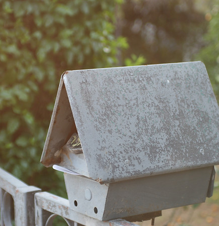 ציפור קטנה בתיבת דואר עתיקה