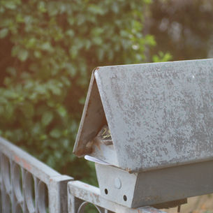 02-17 Tiếp Nhận Tin Lành