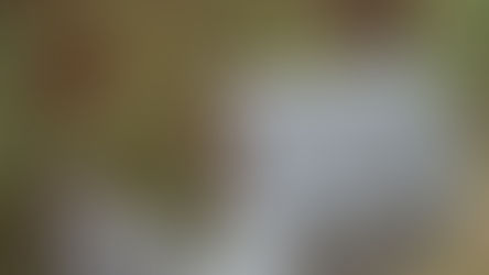 מכתב תגובה לביקורתי על הדיינים