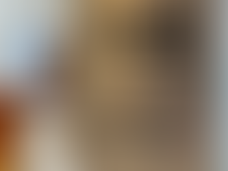 Balkan Travel Support deelnemer VZR Garant