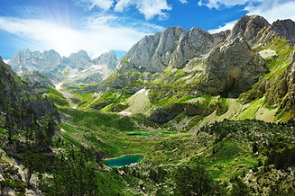 AdobeStock_56016636_edited.jpg