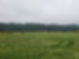 20230529_091929[1].jpg