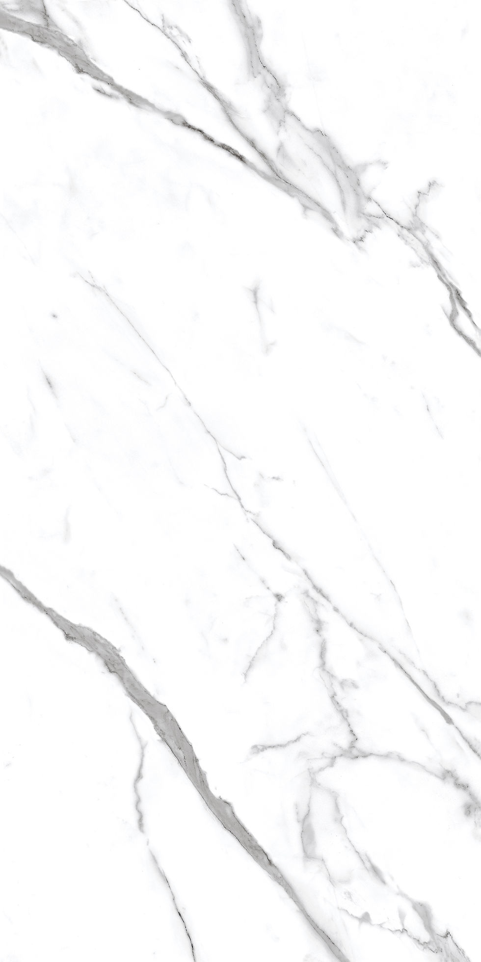 Thumbnail: Marvel White