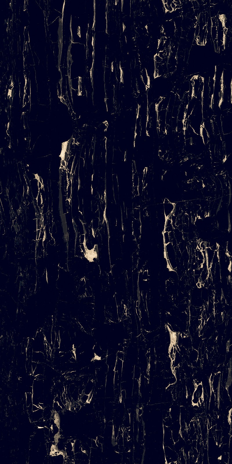 Thumbnail: Portoro Black